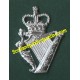 Metal Cap Badge "Royal Irish Regiment" 
