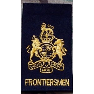 WO1 Sleeve Patch