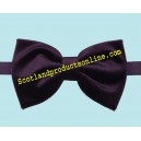 Classic Men's Purple Velvet Bow Tie